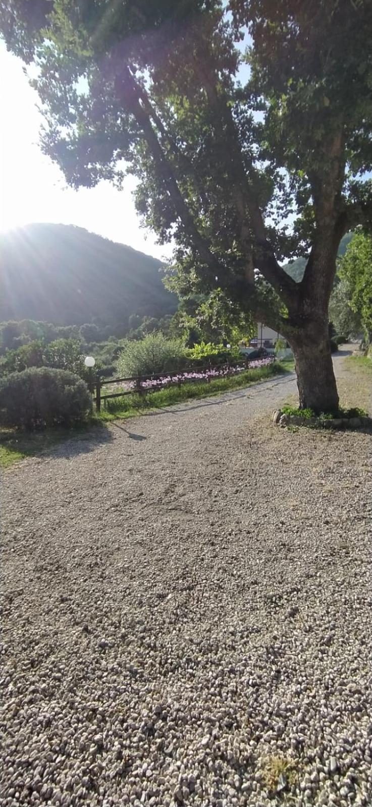 Azienda Agricola Biologica La Cardellina 托尔法 外观 照片