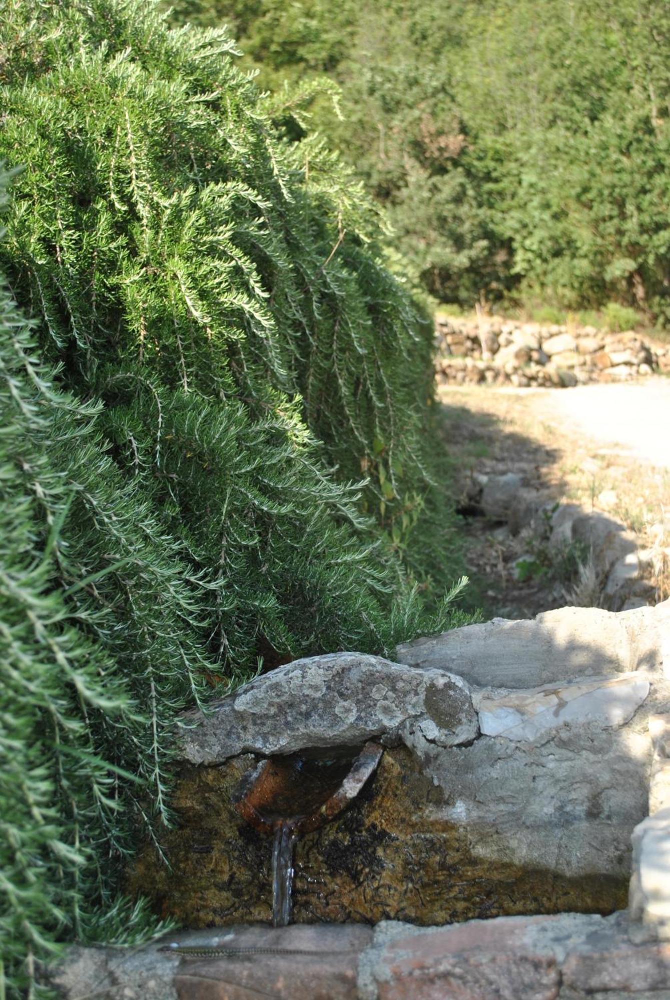 Azienda Agricola Biologica La Cardellina 托尔法 外观 照片