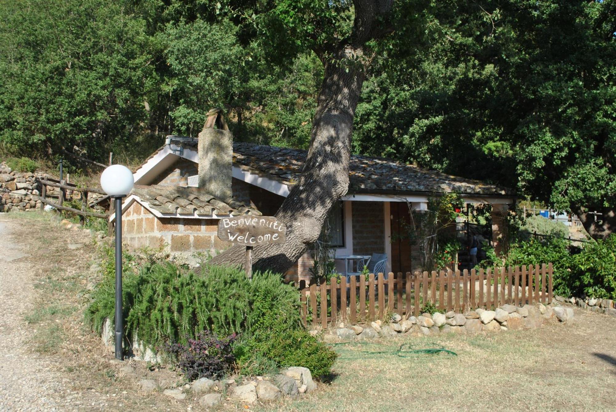 Azienda Agricola Biologica La Cardellina 托尔法 外观 照片