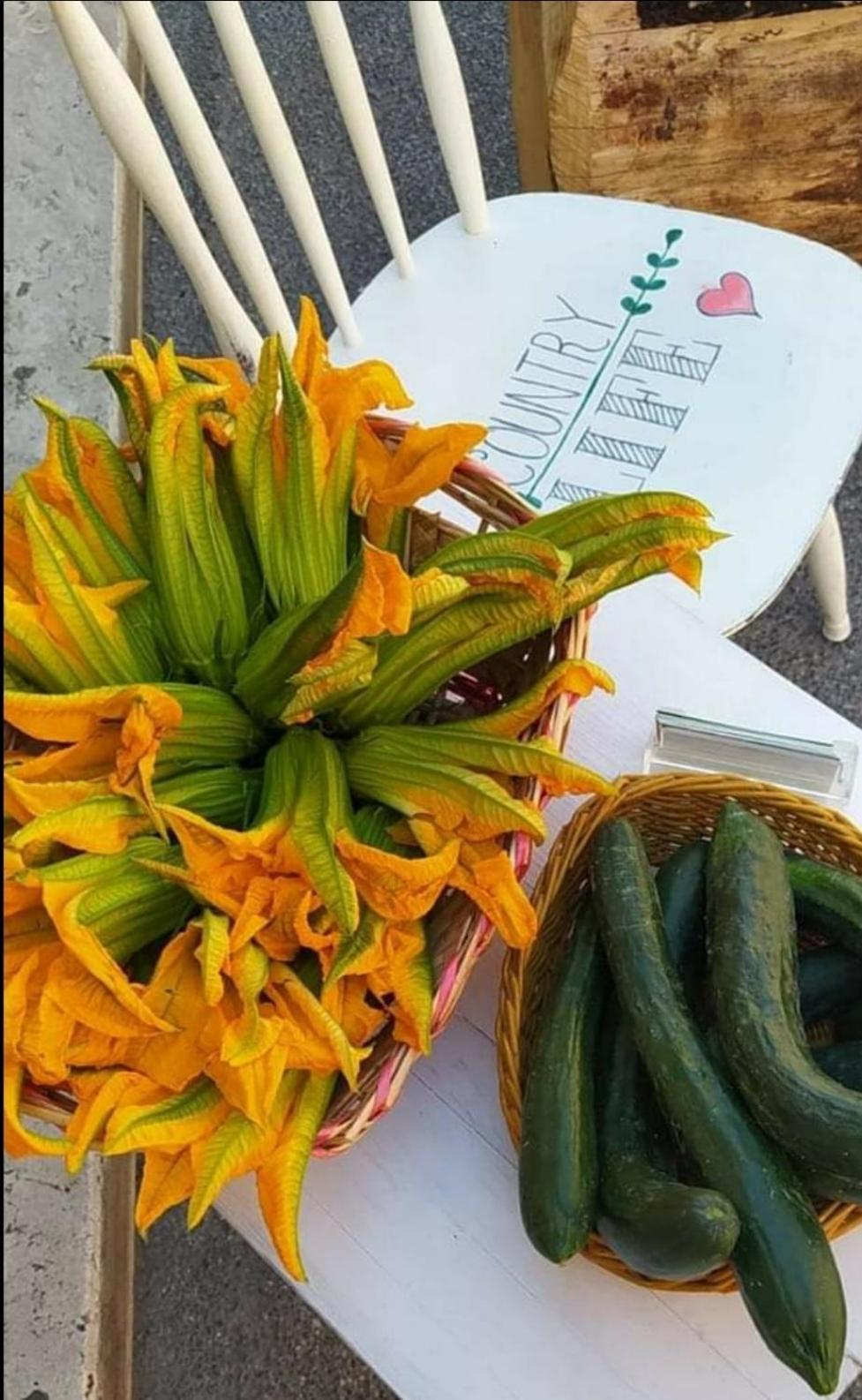 Azienda Agricola Biologica La Cardellina 托尔法 外观 照片