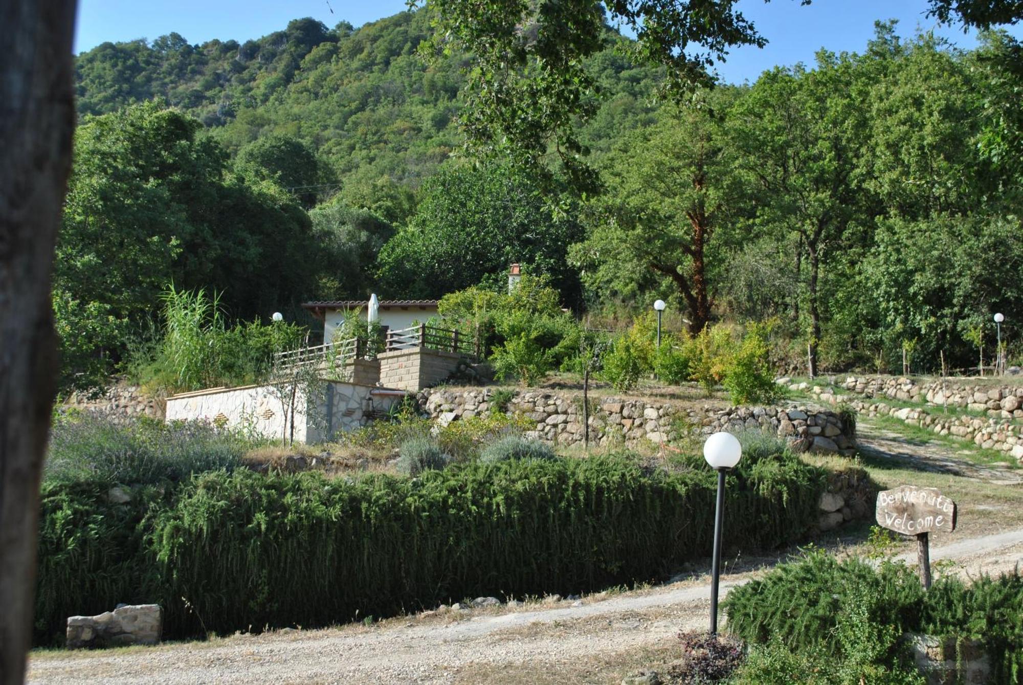 Azienda Agricola Biologica La Cardellina 托尔法 外观 照片