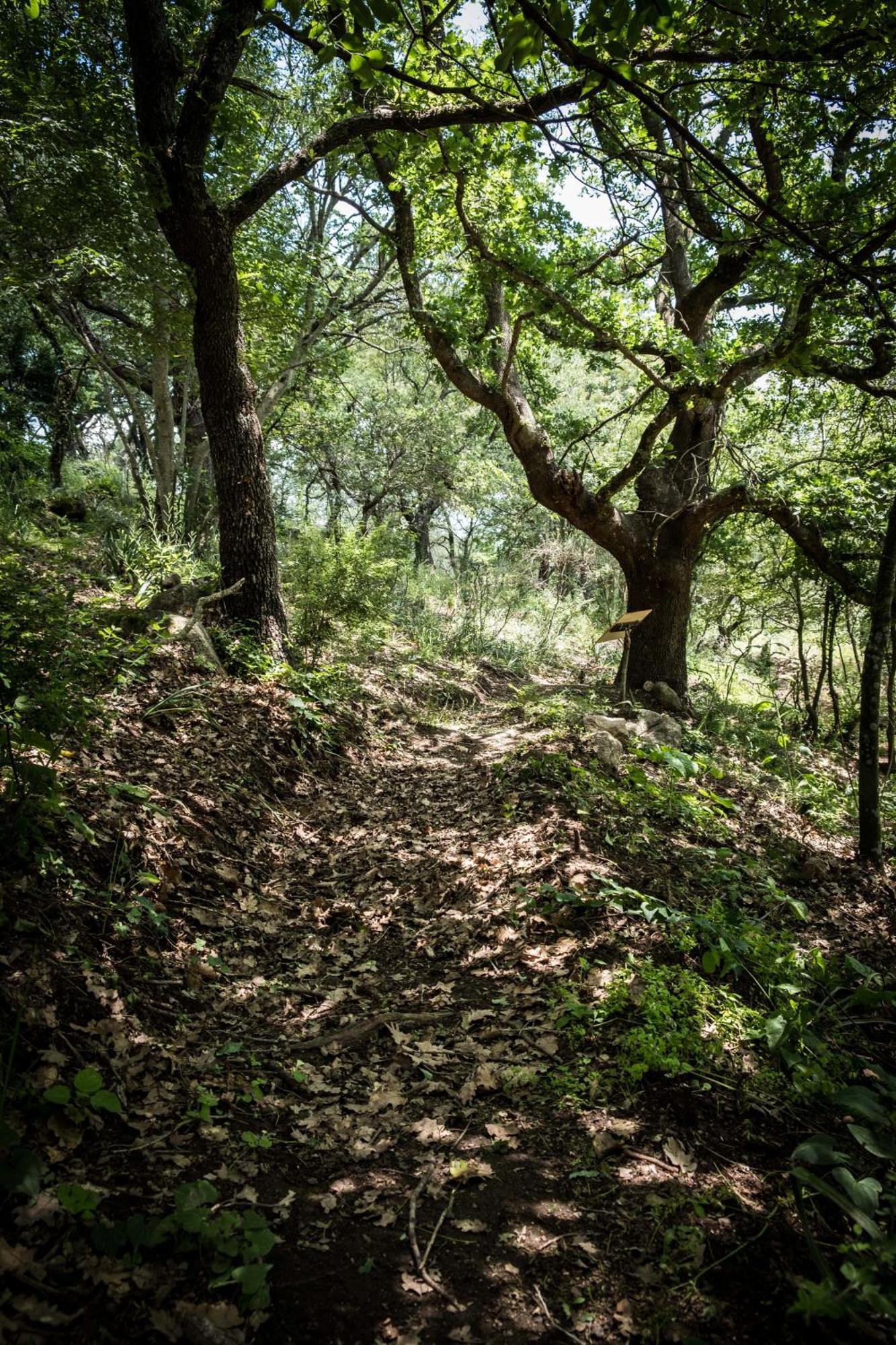 Azienda Agricola Biologica La Cardellina 托尔法 外观 照片