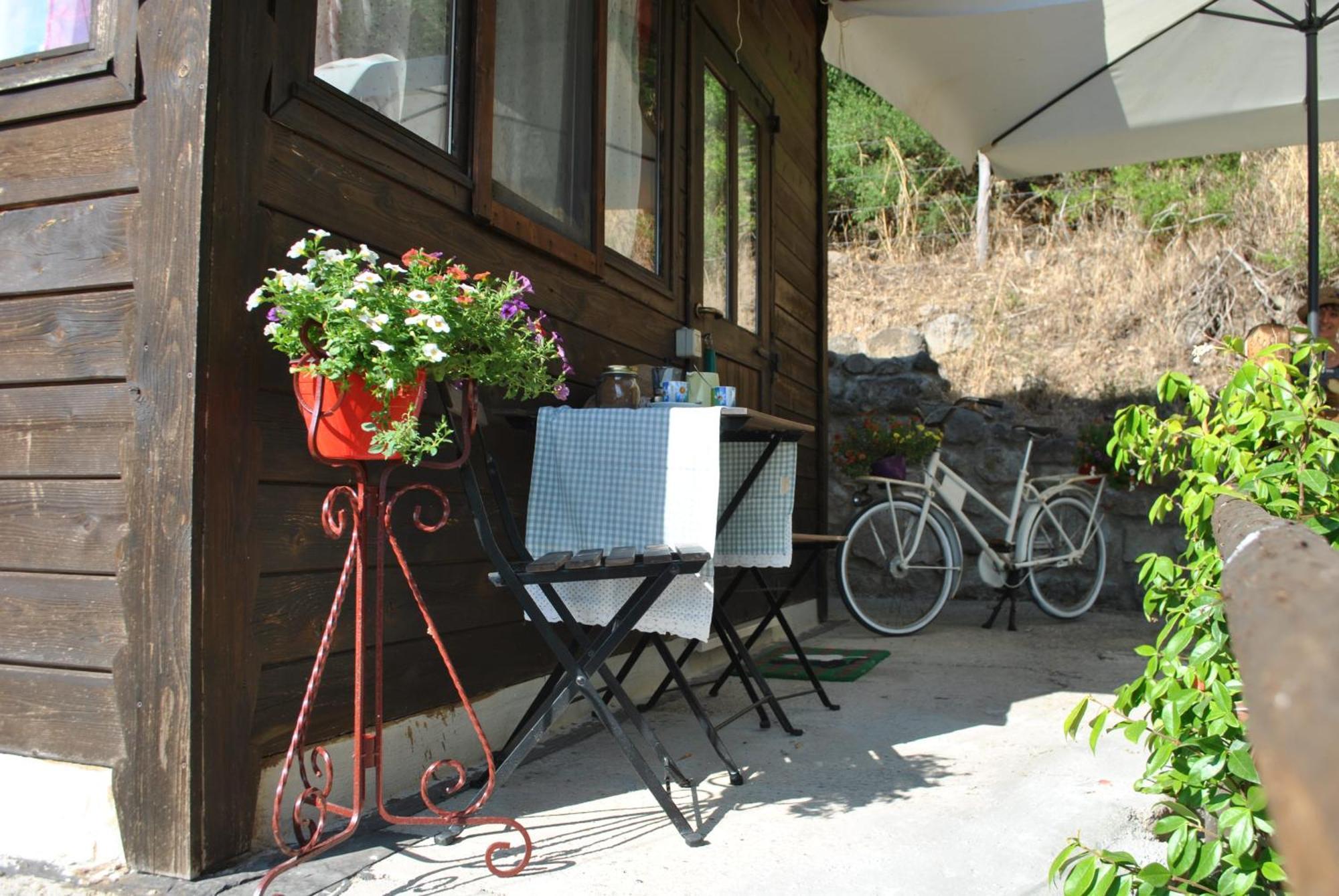 Azienda Agricola Biologica La Cardellina 托尔法 外观 照片