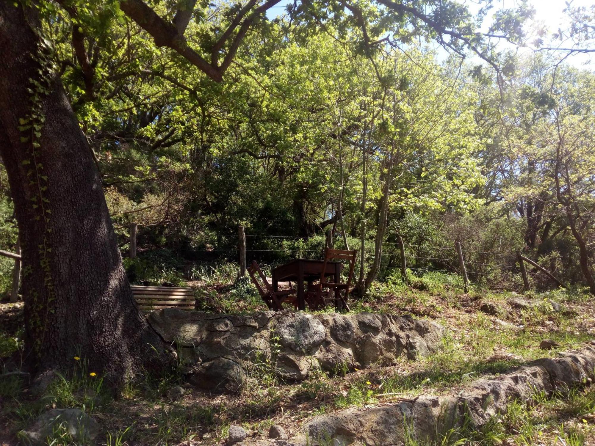 Azienda Agricola Biologica La Cardellina 托尔法 外观 照片