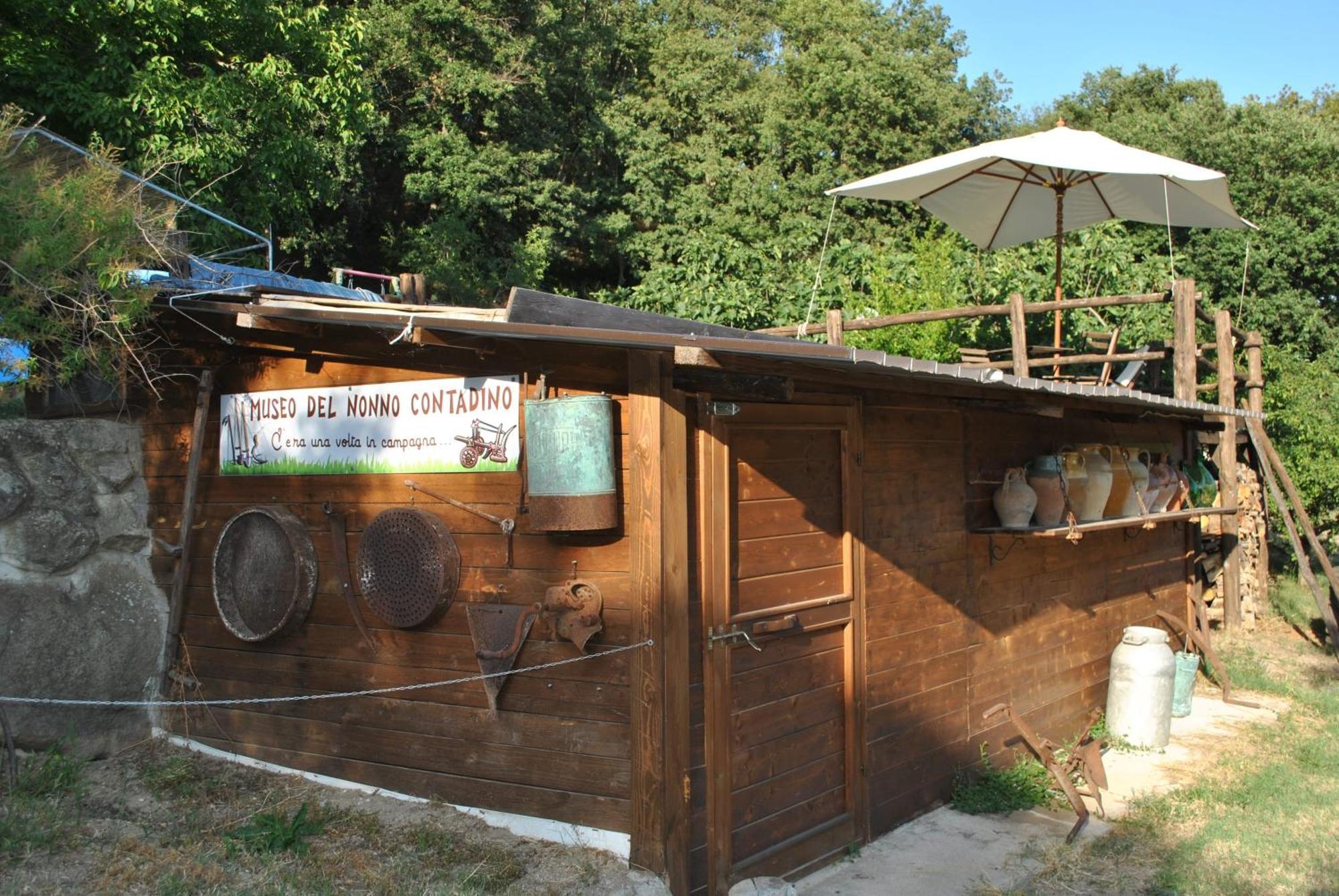 Azienda Agricola Biologica La Cardellina 托尔法 外观 照片