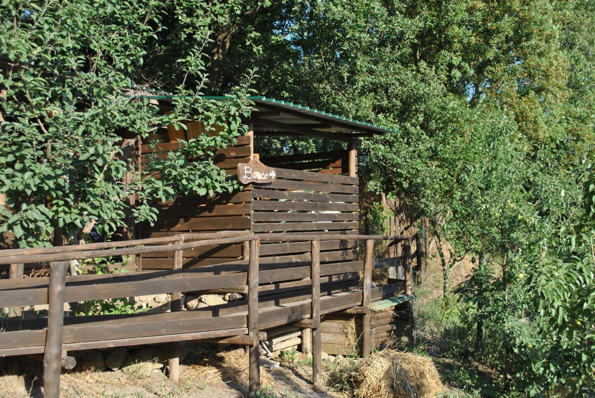 Azienda Agricola Biologica La Cardellina 托尔法 外观 照片